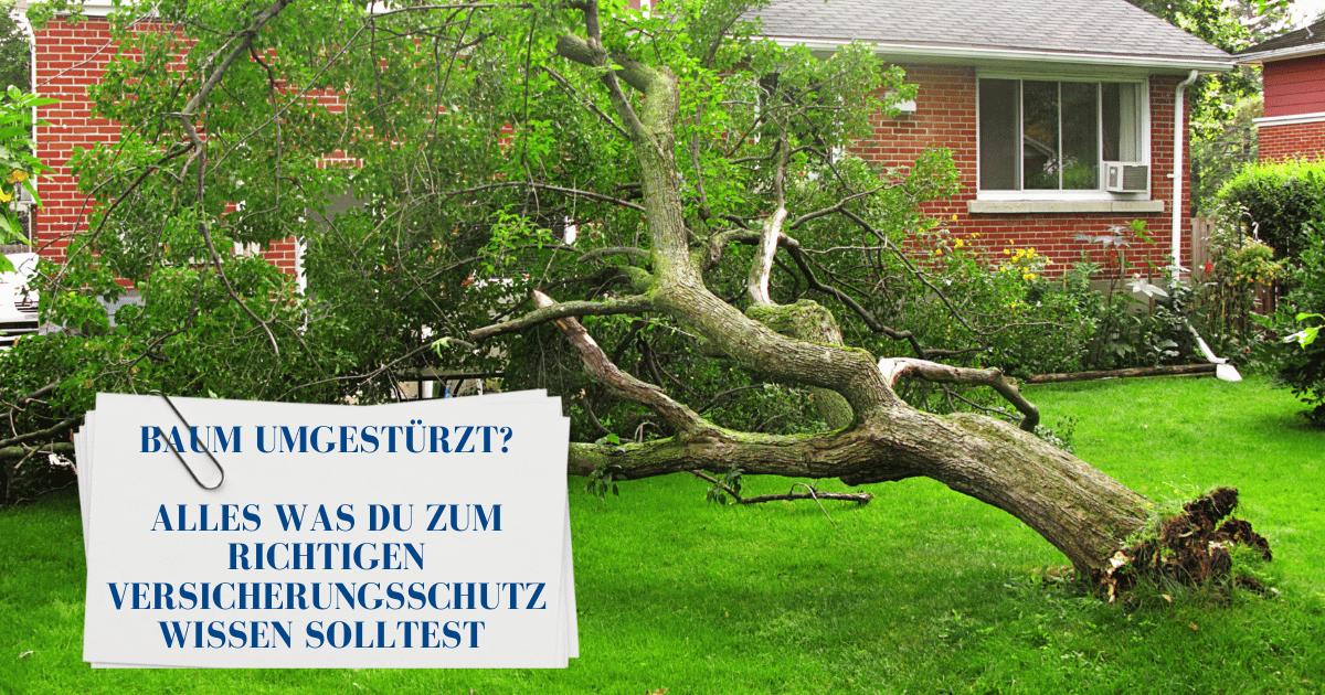 Umgestürzter Baum Welche Versicherung zahlt? K&S